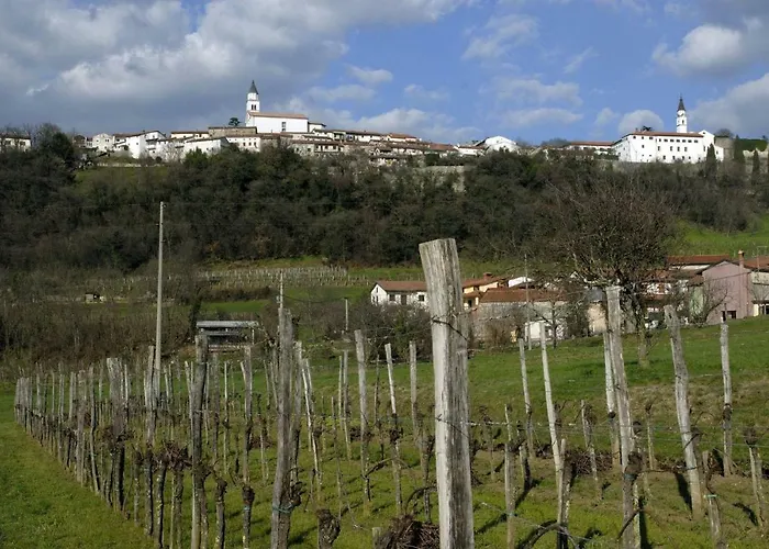 Apartma In Soba Vipavski Kriz بيت ضيافة